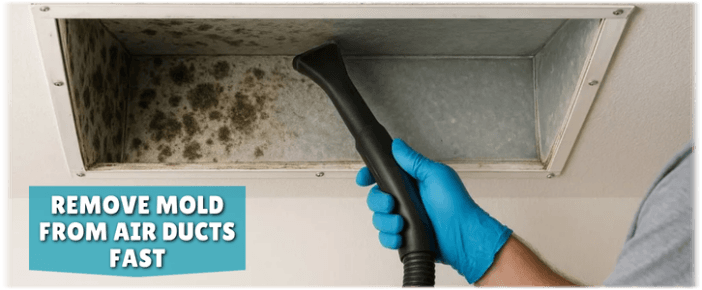 Air Duct Mold Removal in Flower Mound